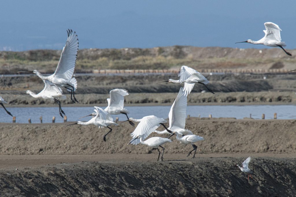 WE GO COOP 2nd THEMATIC SEMINAR – WETLAND CONTRACTS, COMMUNITY OF PRACTICE & CHALLENGES